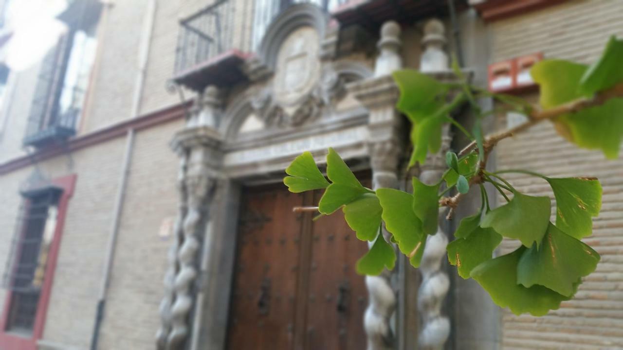 Patio San Jeronimo Casa De Arte Daire Granada Dış mekan fotoğraf